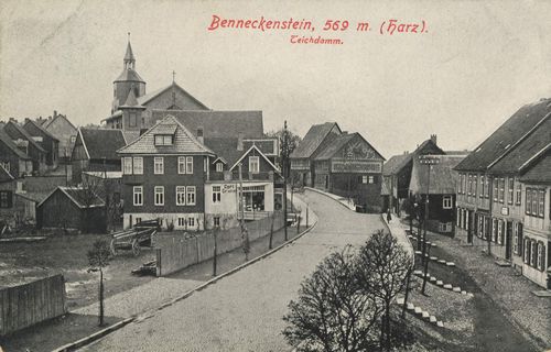 Benneckenstein (Harz), Sachsen-Anhalt: Teichdamm