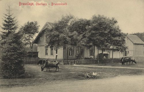 Braunlage, Niedersachsen: Oberharz, Brunnenbach