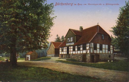 Elbingerode (Harz), Sachsen-Anhalt: Bchenberg