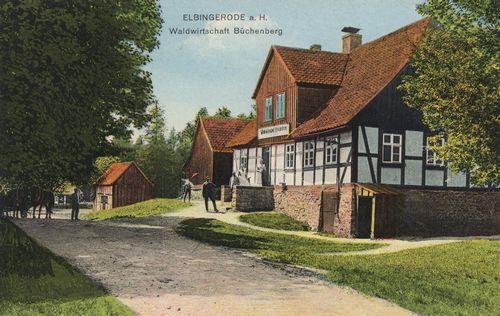 Elbingerode (Harz), Sachsen-Anhalt: Waldwirtschaft Büchenberg