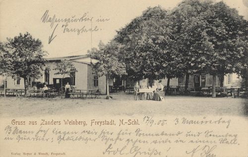 Freystadt, Schlesien: Zandler Weinberg