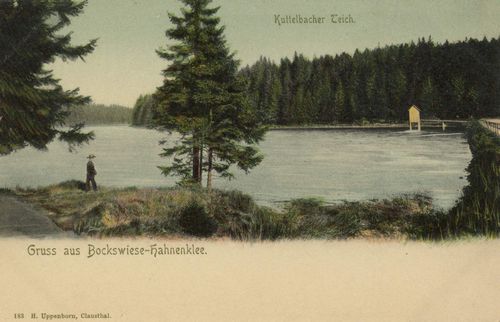 Goslar, Niedersachsen: Kuttelbacher Teich