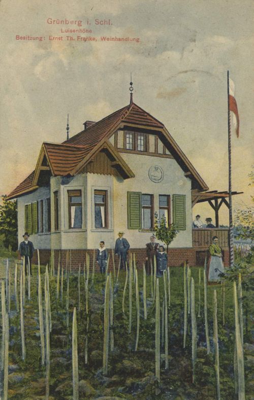 Grnberg, Schlesien: Luisenhhe; Weinhandlung