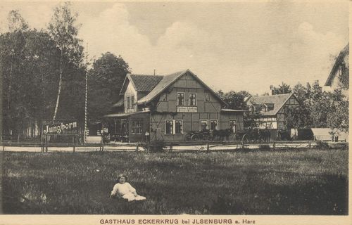 Ilsenburg (Harz), Sachsen-Anhalt: Gasthaus Eckerkrug