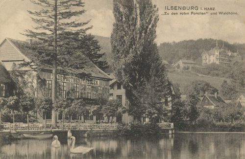 Ilsenburg (Harz), Sachsen-Anhalt: Gasthaus Zu den roten Forellen, Waldhhe