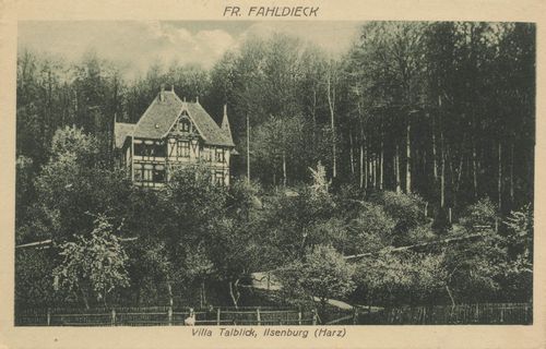 Ilsenburg (Harz), Sachsen-Anhalt: Villa Talblick
