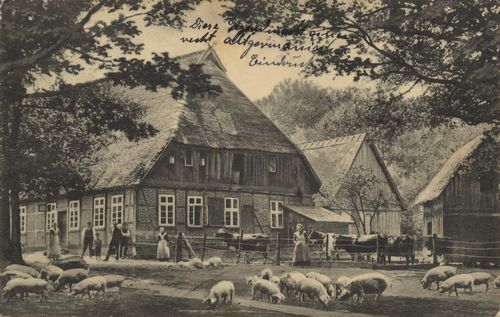 Lneburg, Niedersachsen: Lneburger Heide: Niederschsischer Bauernhof