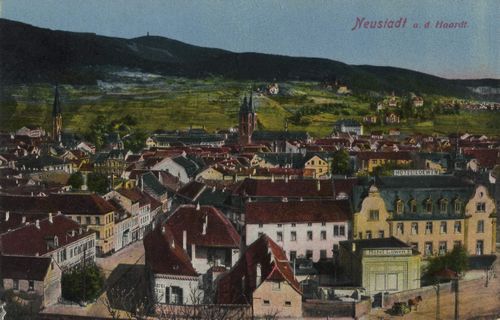 Neustadt, Haardt, Rheinland-Pfalz: Stadtansicht