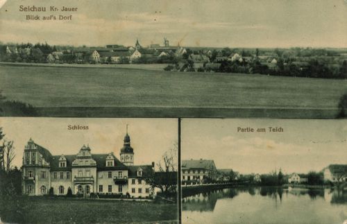 Seichau, Schlesien: Stadtansicht; Schloss; Teich