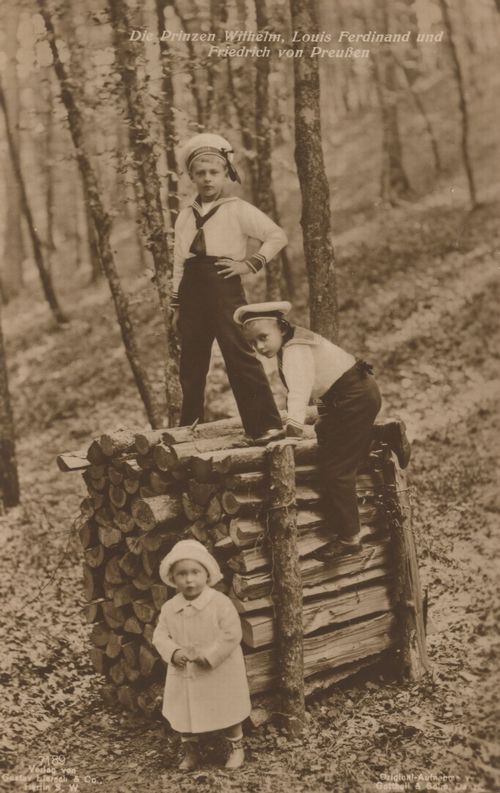 Die Prinzen Wilhelm, Louis Ferdinand und Friedrich in Wald