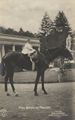 Adel und Monarchie/Preuen (Privat)/Prinz Wilhelm als Kleinkind auf einem Pferd