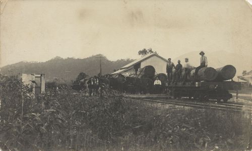 Arbeiter auf Güterwagen mit Holzstämmen