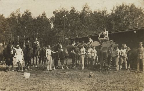 Gruppenaufnahme mit Pferden [2]