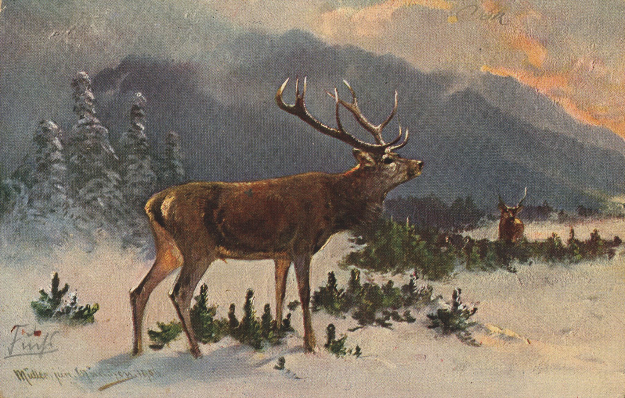 Jagd, Wild, Hirsche im Schnee - Zeno.org