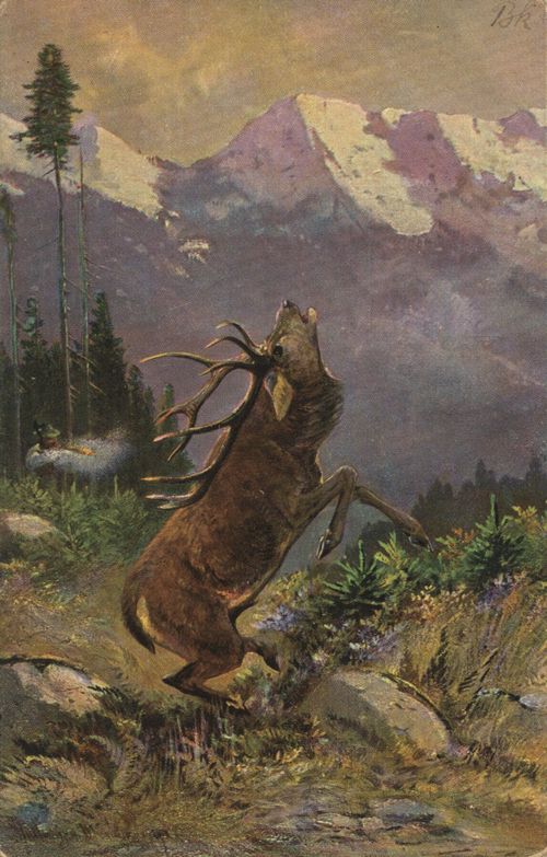 Sterbender Hirsch im Gebirge