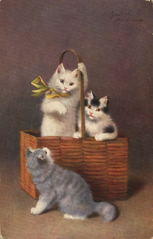 3 Katzenbabies mit Korb