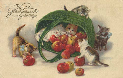 Katzenbabies mit Äpfeln