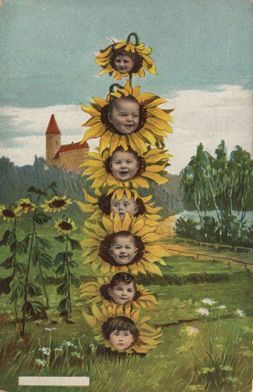 Kinderköpfe als Sonnenblumen