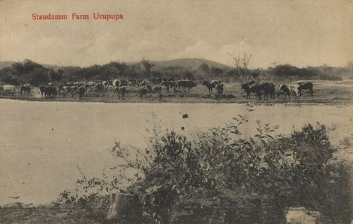 Staudamm-Farm Urupupa