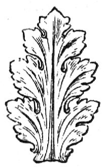 18. Stilisiertes Akanthusblatt.