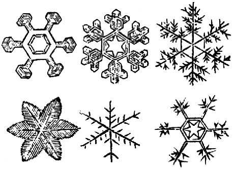 1653. Schnee (Eiskristalle).