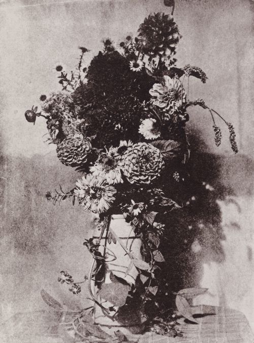 Bayard, Hippolyte: Stilleben mit Blumen