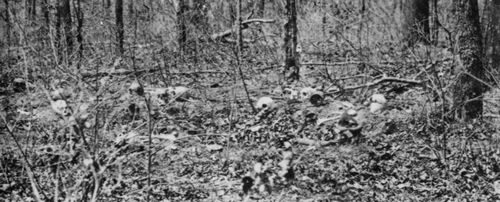 Brady, Mathew B.: Sterbliche berreste der Toten von Chancellorsville
