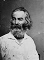 Brady, Mathew B.: Walt Whitman
