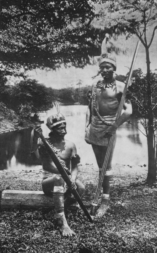 Frisch, A.: Indianer am Amazonas