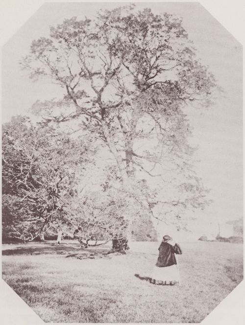 Hawarden, Clementina: Gestalt neben einem Baum