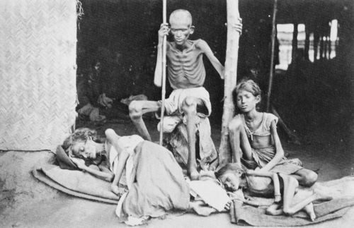 Hooper, Willoughby Wallace: Die indische Hungersnot in der Provinz Madras