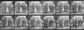 Muybridge, Eadweard: Gehender Elefant (0.86 Sekunden)