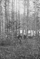 O'Sullivan, Timothy H.: Culpeper, Virginia, Lager im Wald
