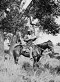 O'Sullivan, Timothy H.: Ein Kundschafter der Coyotero Apachen