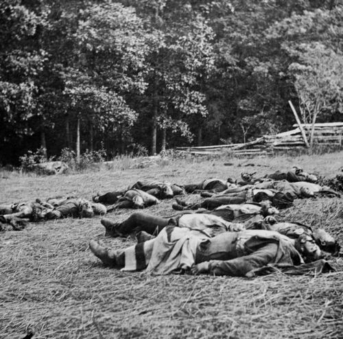 O'Sullivan, Timothy H.: Gettysburg, »Ernte des Todes«