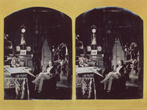 Schneider, Wilhelm: Ein lesender Mann in seinem Salon