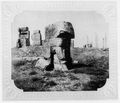 Stolze, Franz: Album, Persepolis