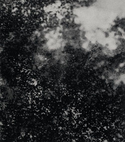 Strindberg, August: Himmelsaufnahme, Dornach