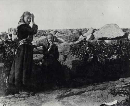 Synge, John Millington: Frauen trocknen Seetang, der dann zu Asche verbrannt und als Dngemittel genutzt wird