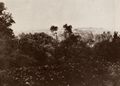 Französischer Photograph: Ansicht von Sceaux, von der Anhöhe von Aulnay aus aufgenommen
