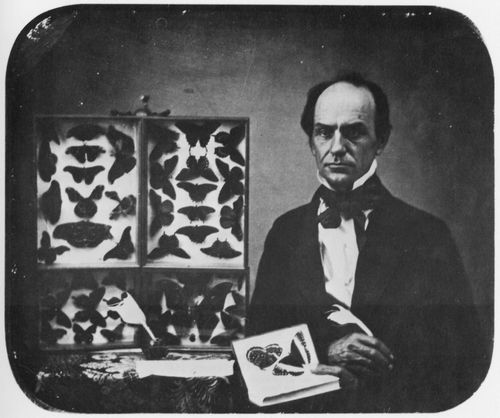 Amerikanischer Photograph um 1850: Der Schmetterlingssammler