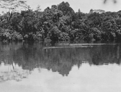 Englischer Photograph um 1877: Die englische Expedition »Victory« von F.F. Bevan nach Neu-Guinea: Die Fahrt flussabwrts