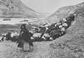 Russischer Photograph um 1890: Ein Tal im Zentralkaukasus