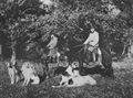 Russischer Photograph: Jagd mit Borzoj-Hunden in Pensa