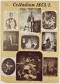 Deutscher Photograph um 1853-1855: Lehrtafel Nr. 13 mit 9 Photographien, zum Kollodiumverfahren, Aufnahmen: Dresden