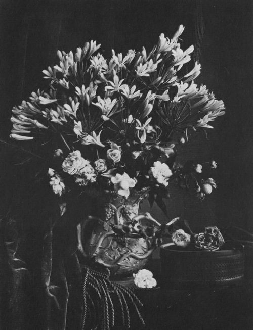 Französischer Photograph um 1865-1870: Stilleben mit Blumenvase