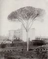 Italienischer Photograph um 1852: Villa Altieri