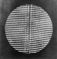 Deutscher Photograph um 1870: Zwei Mikrophotographien