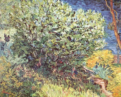 Gogh, Vincent Willem van: Die Bsche
