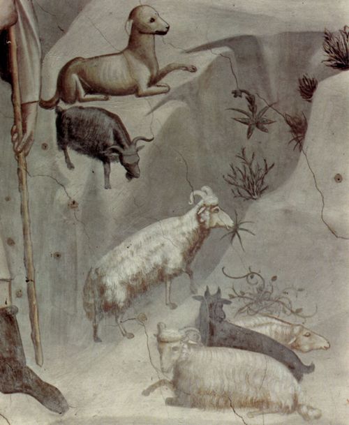 Giotto di Bondone: Fresken in der Arenakapelle in Padua, Szene: Der Traum des Joachim, Detail